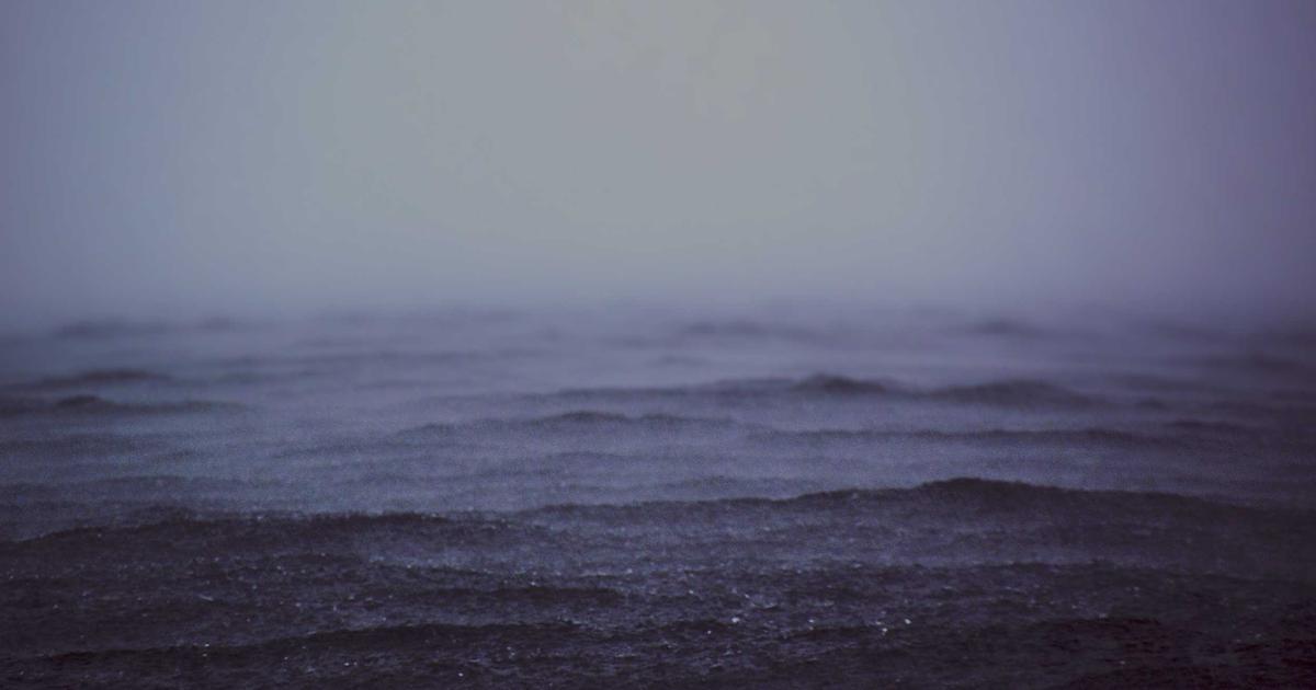 Member Stories from the Pakistani American Society of Rochester