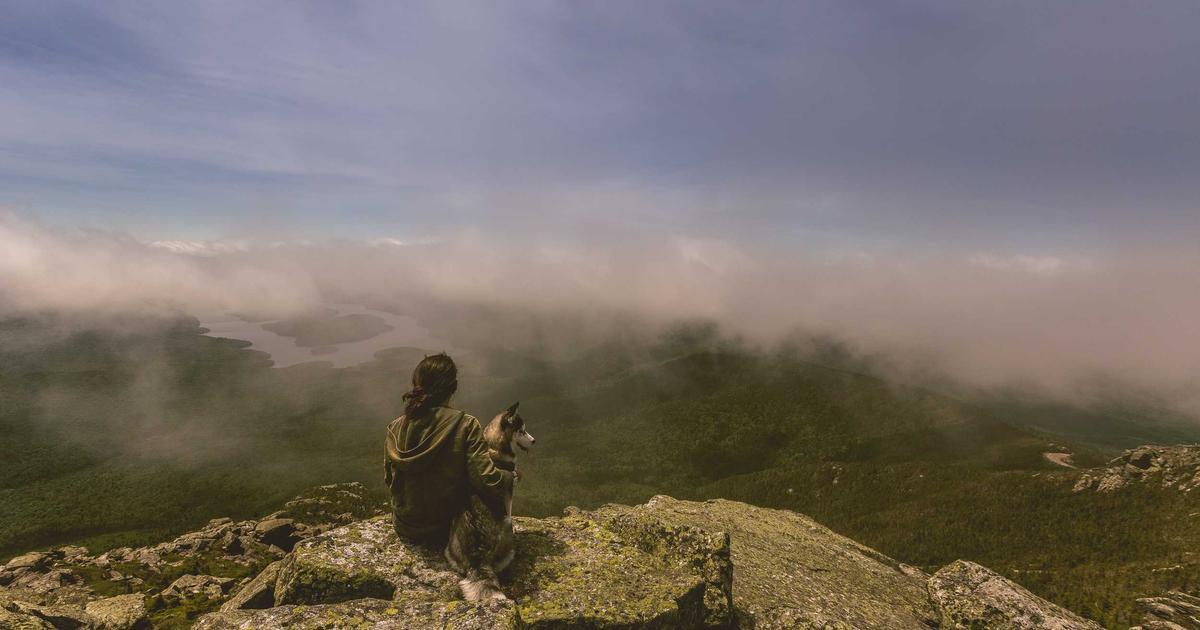 Behind the Scenes with the PASOR Board Members