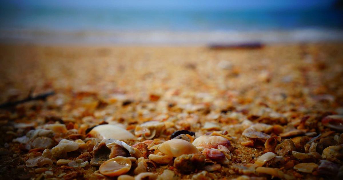 Community Partnerships That Power PASOR