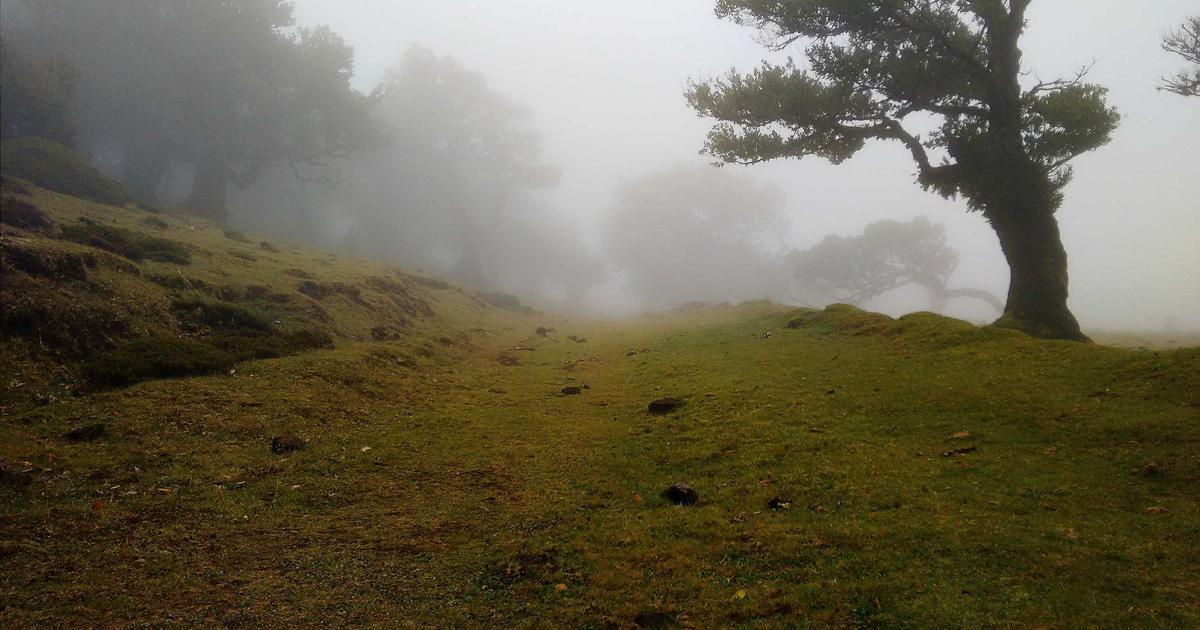 How Cultural Events Build Stronger Communities