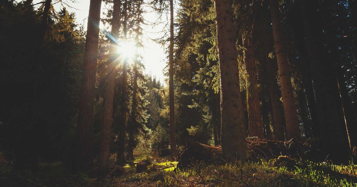 10 Pakistani Recipes Perfect for a Rochester Winter